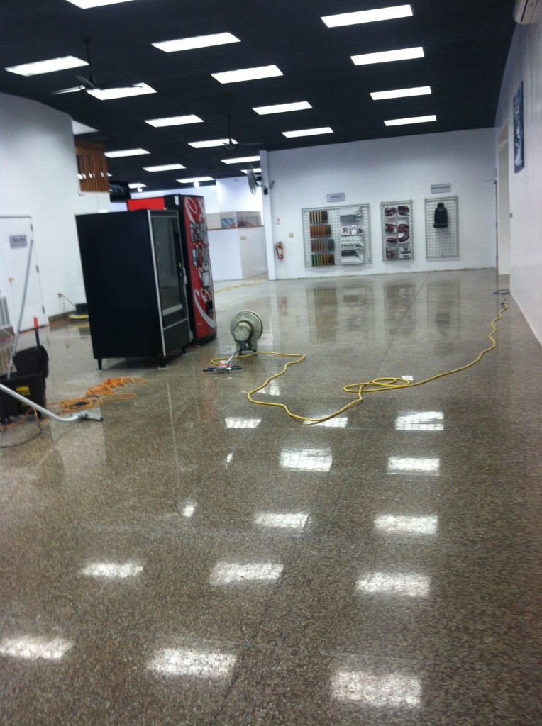 dealership showroom floors cleaned