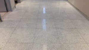 Terrazzo polishing after, Manchester, NH
