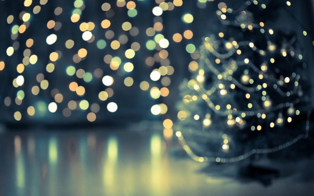7 Boston businesses that will make your holiday space shine!